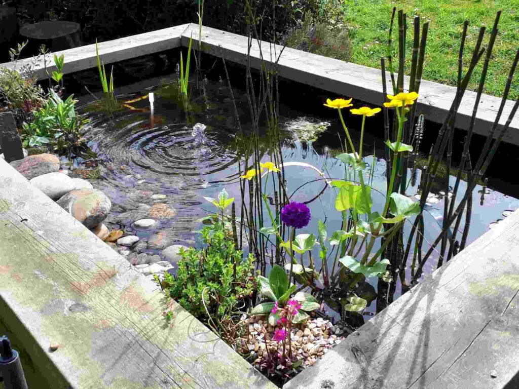 how to build a Natural formal pond