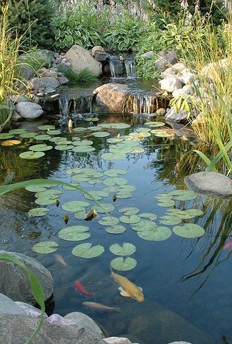 Water garden ideas