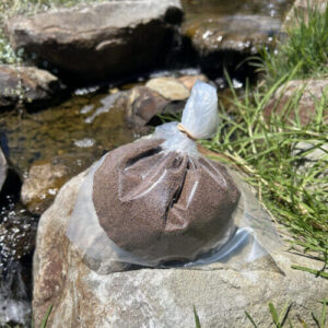 Yabby food punnet