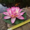 Large artificial pink water lily 280mm for fish ponds