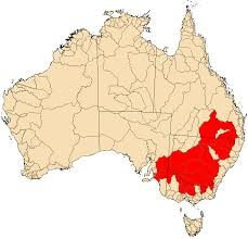 Distribution Crimson-spotted Rainbow