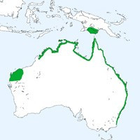 Distribution Empire Gudgeons