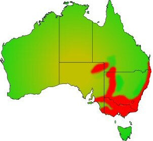 Distribution Southern Smelt