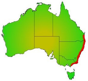 Distribution