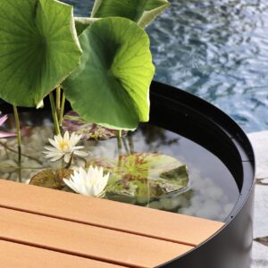 alluminate classic pond