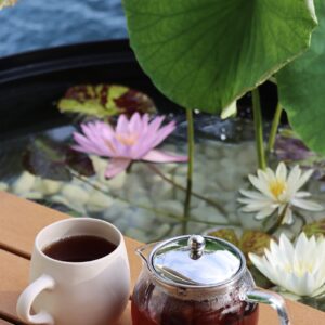alluminate classic pond