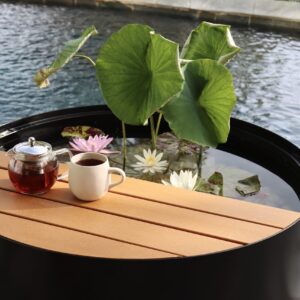 alluminate classic pond