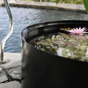 alluminate classic pond