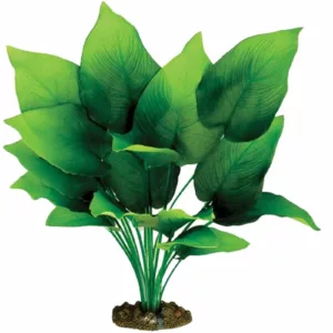 Silk Plant Sword Radicans