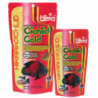 Hikari Cichlid Gold (Medium)