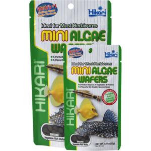 Hikari Tropical Mini Algae Wafers