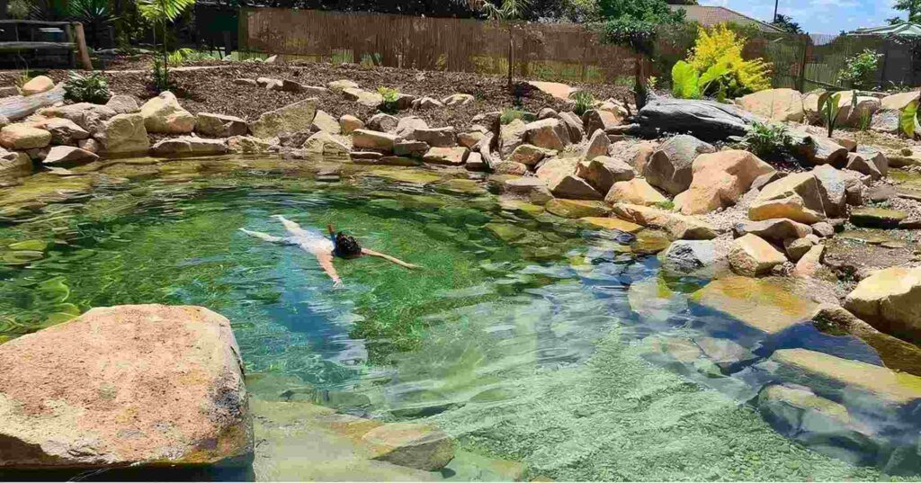 How to build a natural swim pond