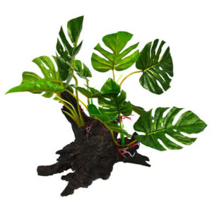 Monstera Aquascape Aquarium Ornament