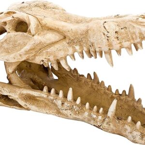 Crocodile Skull Aquarium Ornament