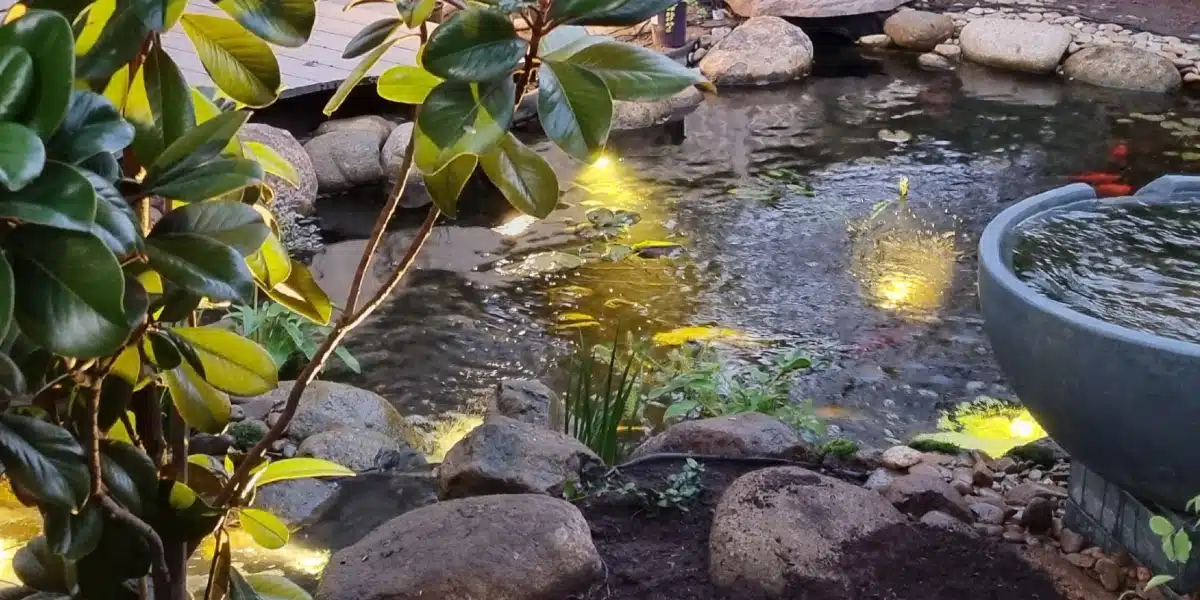 fish pond accessories sydney Abaodam 2Pcs Ceramic Floating Koi Decor Ceramic Floating Fake Fish Goldfish Koi Decor for Tank Fairy Garden Pond Decoration How to Design, Build, and