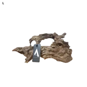 Dragon Wood