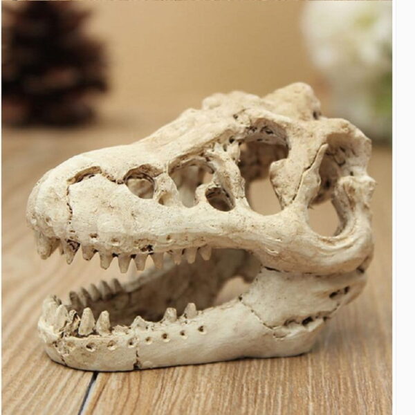 Small Dinosaur Skull Aquarium Ornament