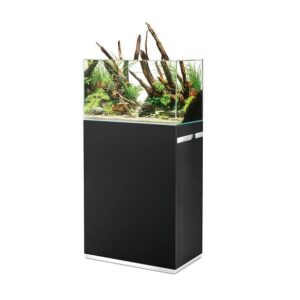 OASE ScaperLine 60 Black Set (SPECIAL ORDER ITEM)