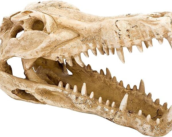 Crocodile Skull Aquarium Ornament