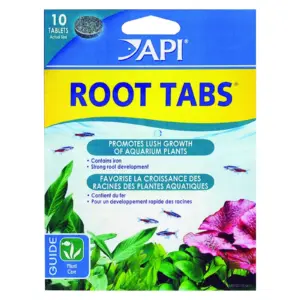 API Root Tabs