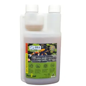 BBA Algae Blaster (all natural algaecide)