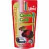 Hikari Cichlid Gold - Baby