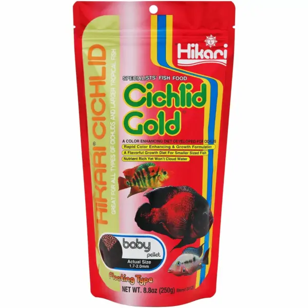 Hikari Cichlid Gold - Baby