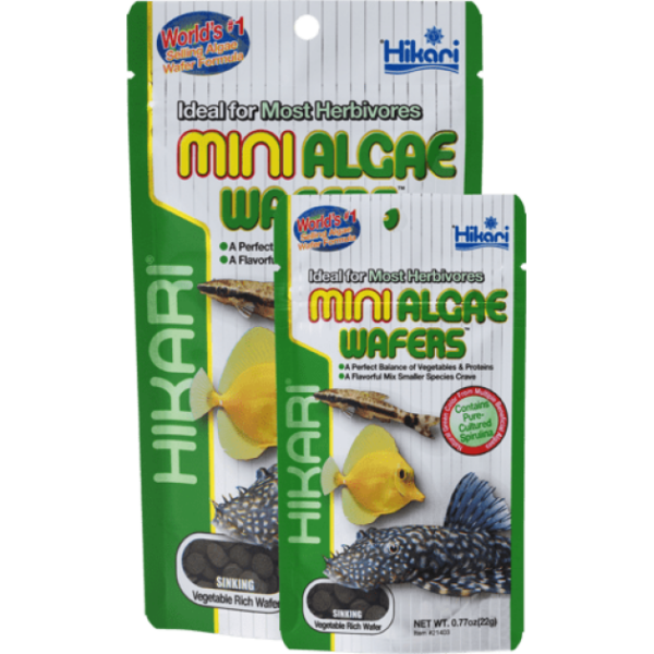 Hikari Mini Algae Wafers