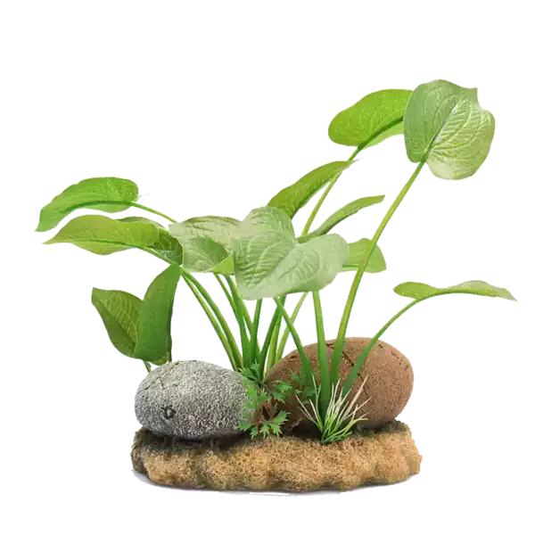 Plants in Stone Aquascape Aquarium Decoration