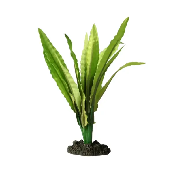 Silk African Onion Plant