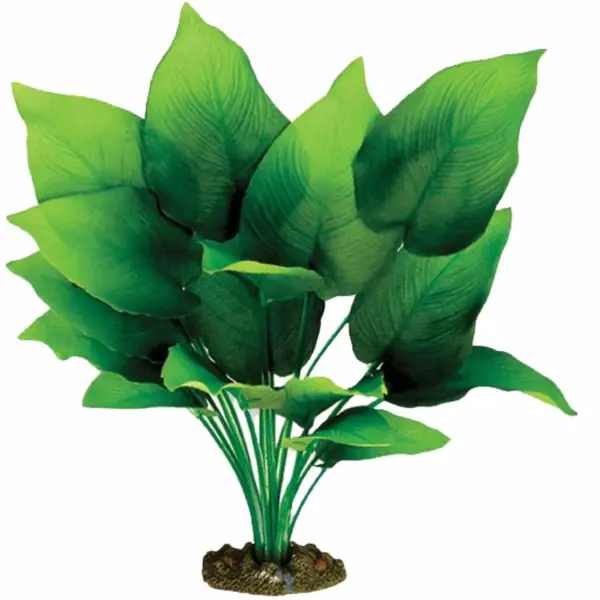 Silk Plant Sword Radicans