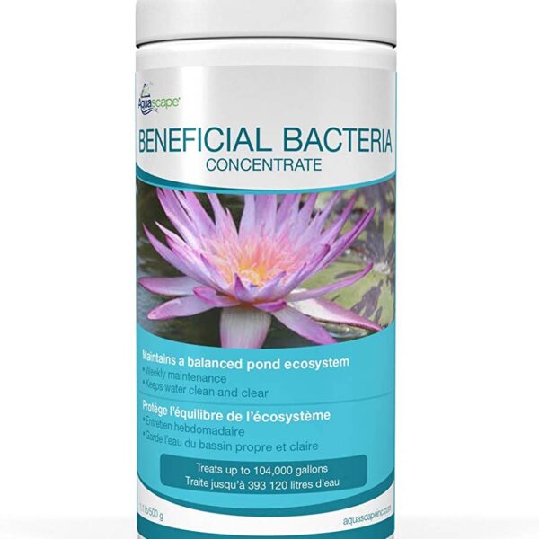 Aquascape beneficial bacteria concentrate 500g