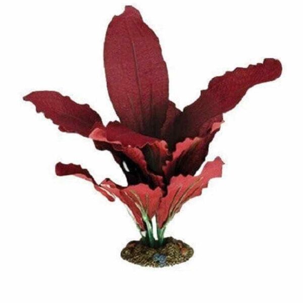 Aqua One Amazon Red Silk Plant