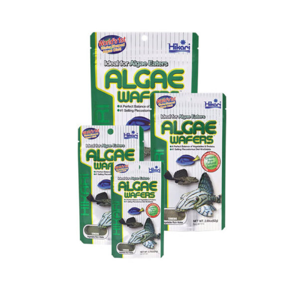Hikari Algae Wafers
