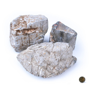 Ancient Stone