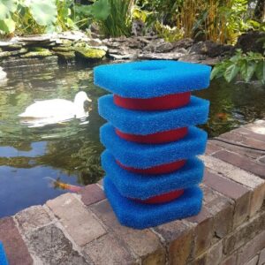 Generic Filtoclear 11000 sponges
