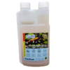 BBA Benefical Bacteria Liquid Solution