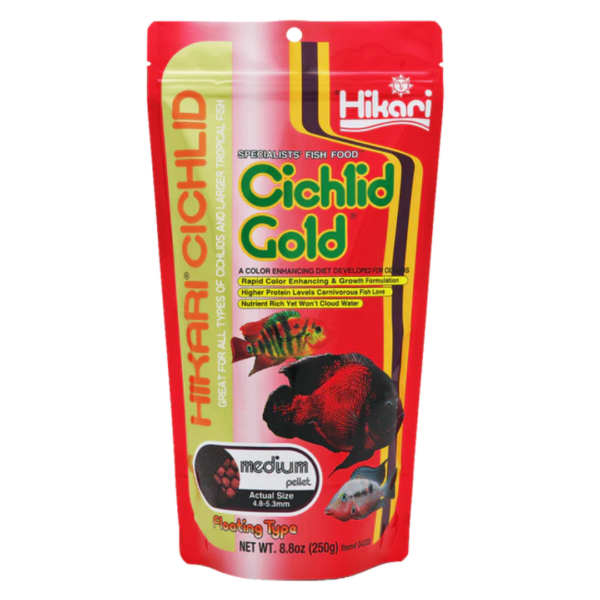 Hikari Cichlid Gold - Medium